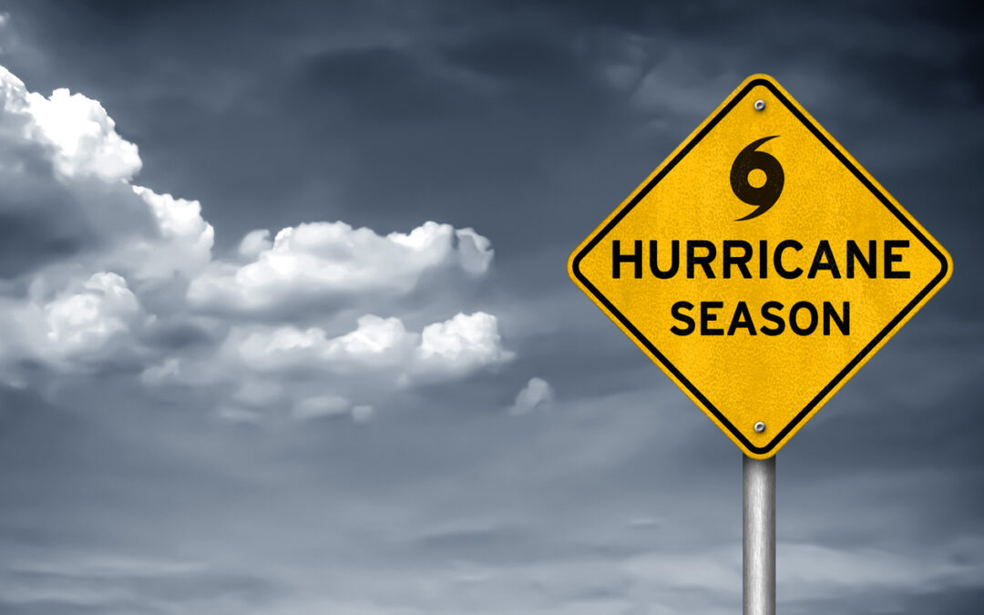 The Top Hurricane Stocks to Own Now