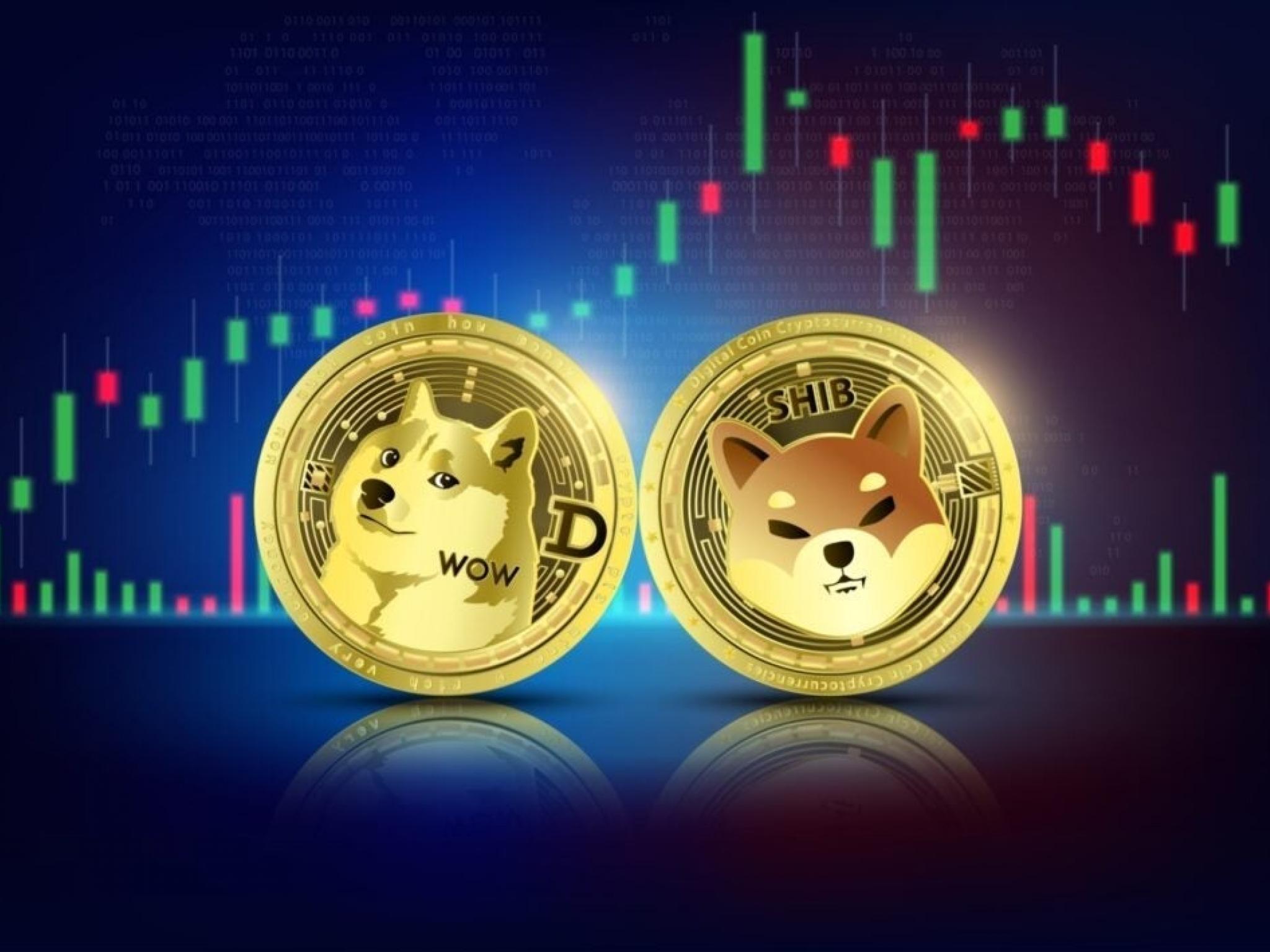 ‘The Easy Days’ In Crypto Are Over And Meme Coins Have Contributed To This, Says Trader