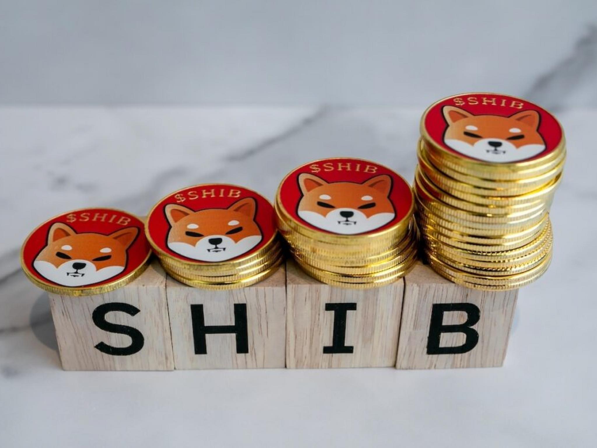 Shiba Inu Burn Rate Explodes 99,280% In 1 Day: What Is Going On?